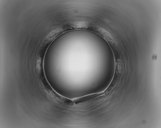 X0000097640550200803071555