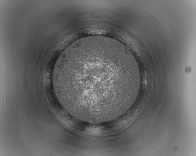 X0000097640551200803071555