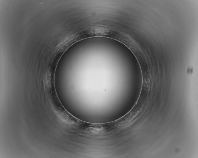 X0000097640552200803071555