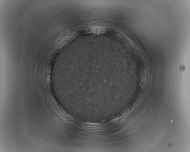 X0000097640553200803071555