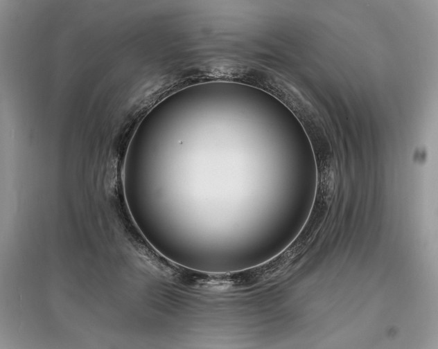 X0000097640554200803071555