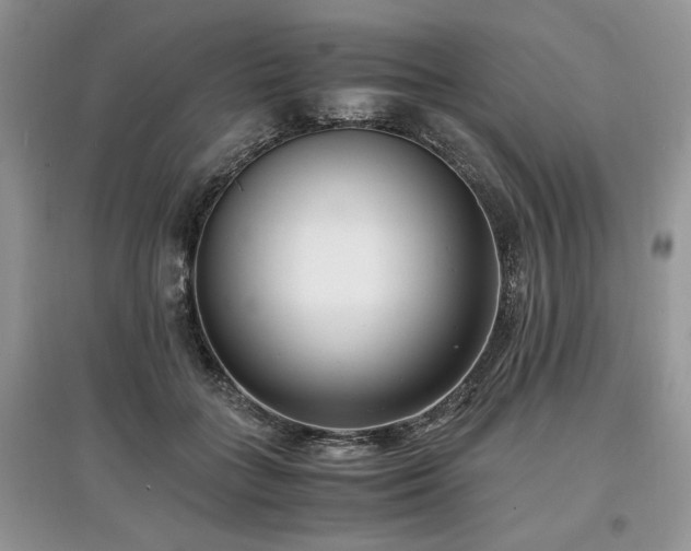 X0000097640555200803071555