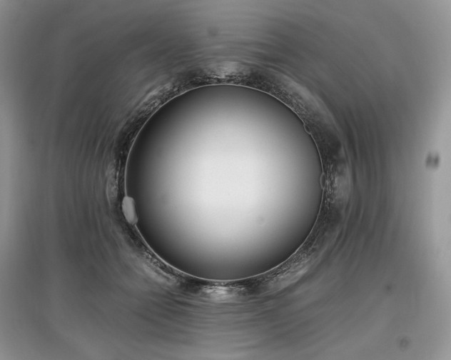 X0000097640558200803071555