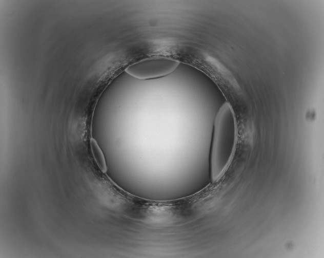 X0000097640560200803071555