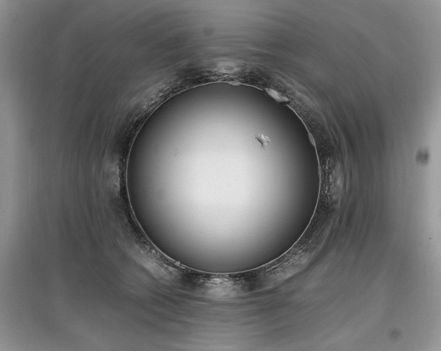 X0000097640562200803071555