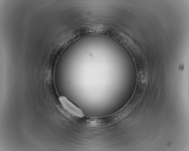 X0000097640564200803071555