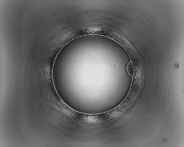 X0000097640565200803071555