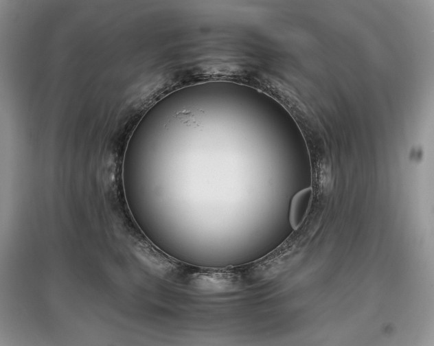 X0000097640567200803071555