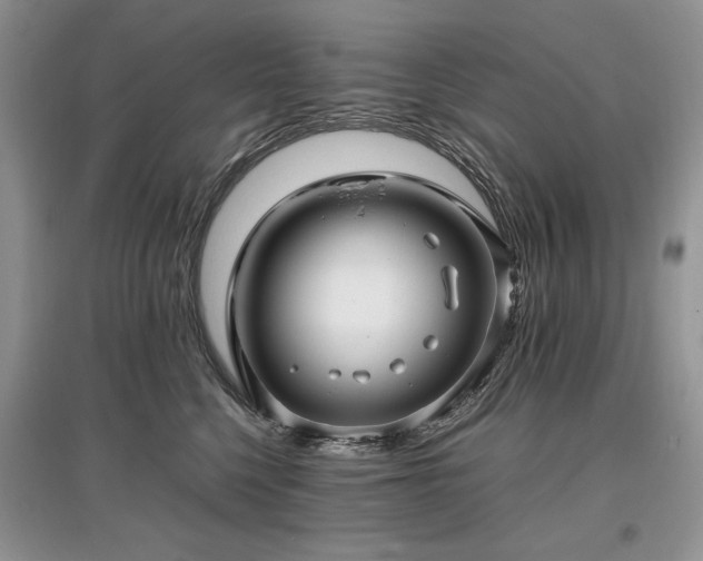 X0000097640568200803071555