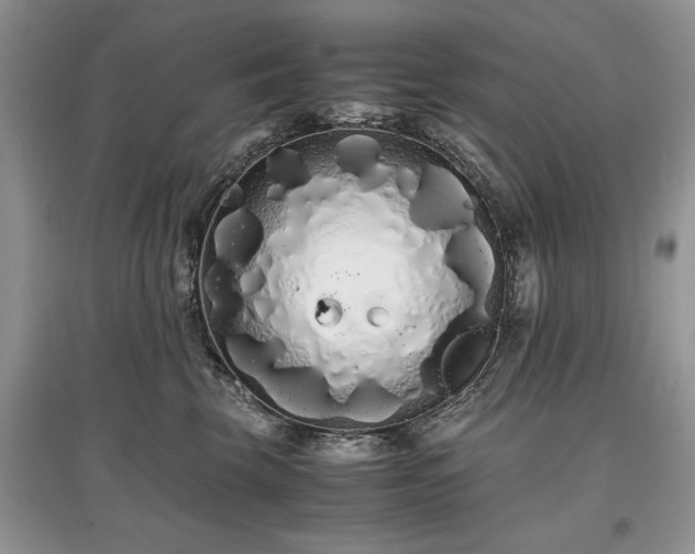 X0000097640569200803071555