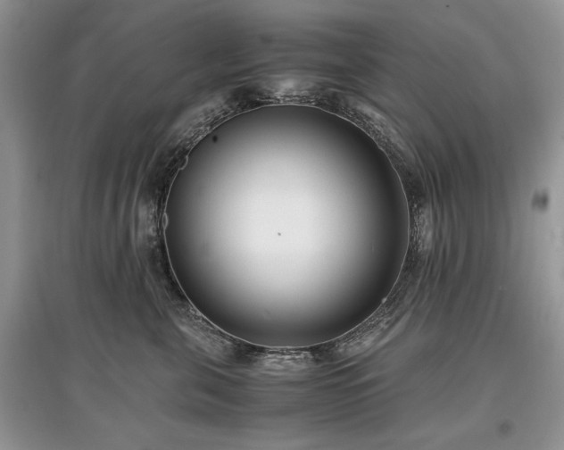 X0000097640571200803071556