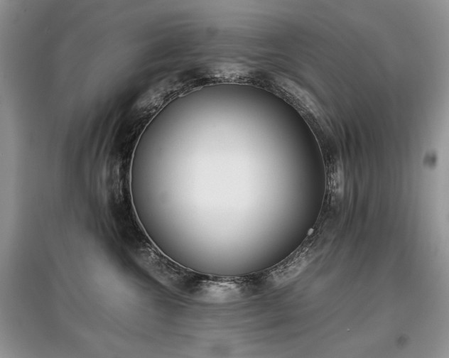 X0000097640572200803071556