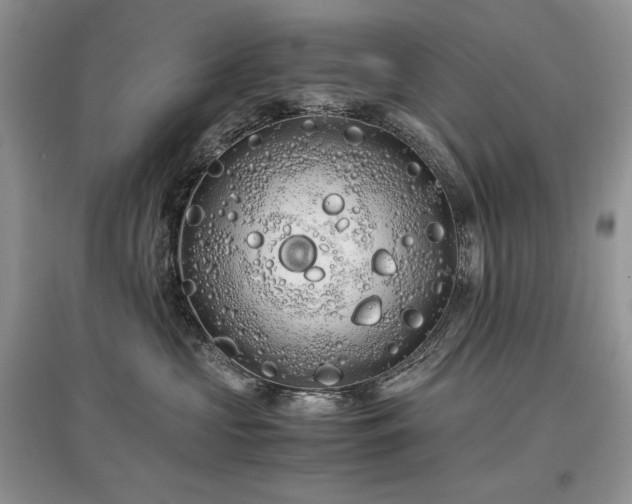 X0000097640573200803071556