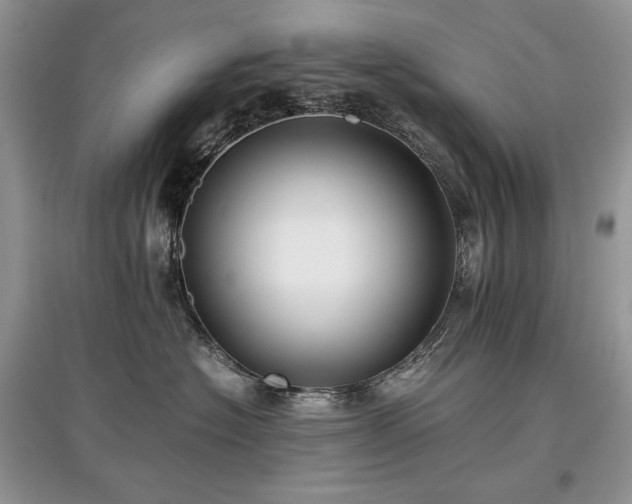 X0000097640574200803071556