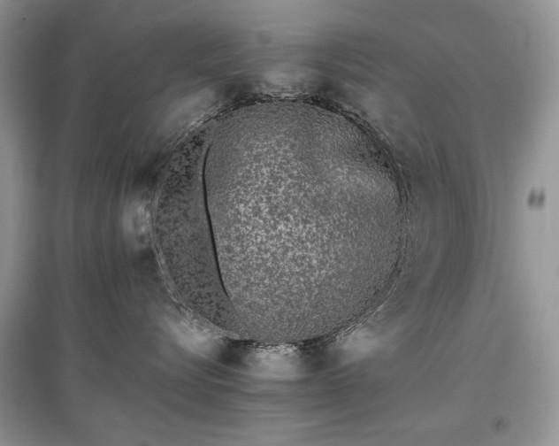 X0000097640576200803071556