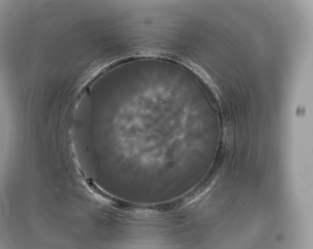 X0000097640577200803071555