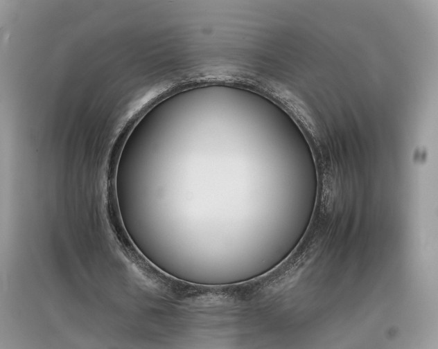 X0000097640578200803071555