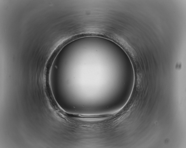 X0000097640580200803071555