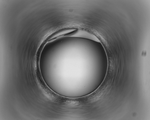 X0000097640582200803071555