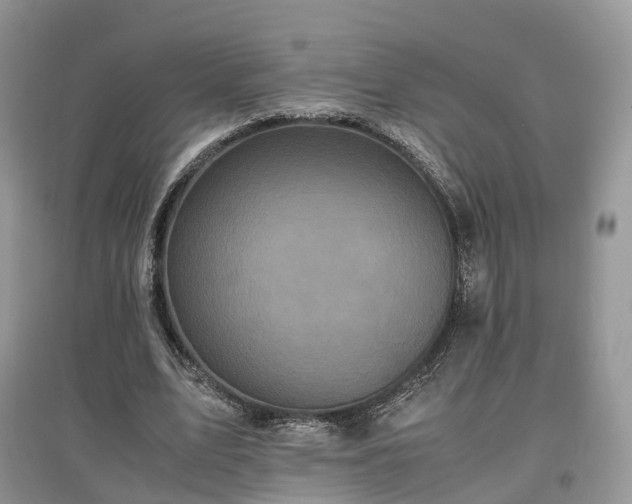 X0000097640583200803071555