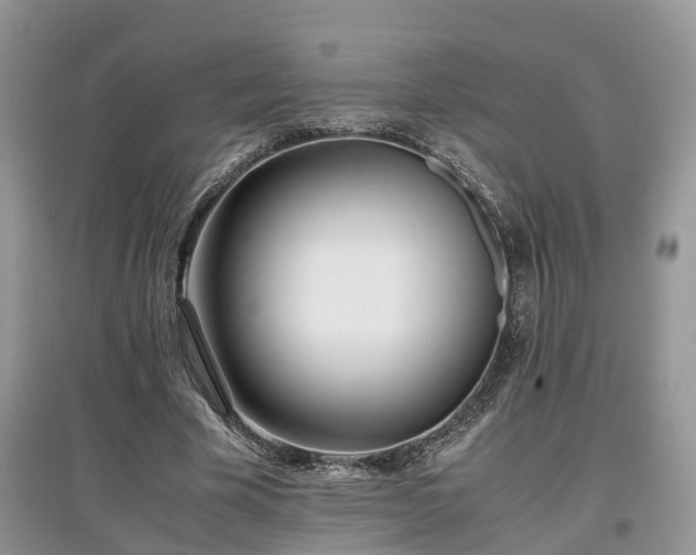 X0000097640585200803071555