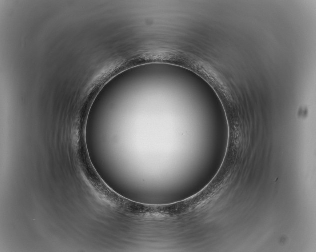 X0000097640586200803071555