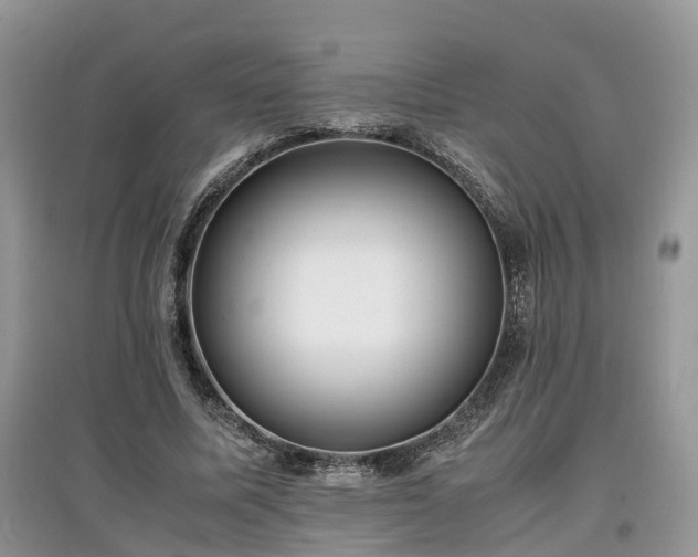 X0000097640587200803071555