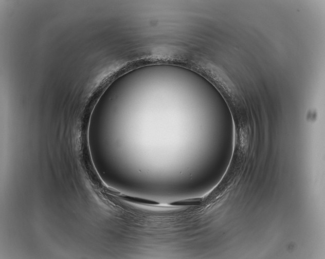 X0000097640588200803071555