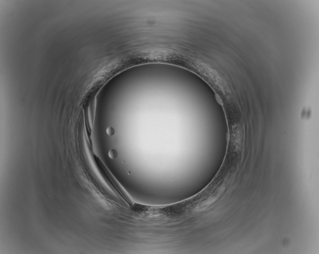 X0000097640589200803071555