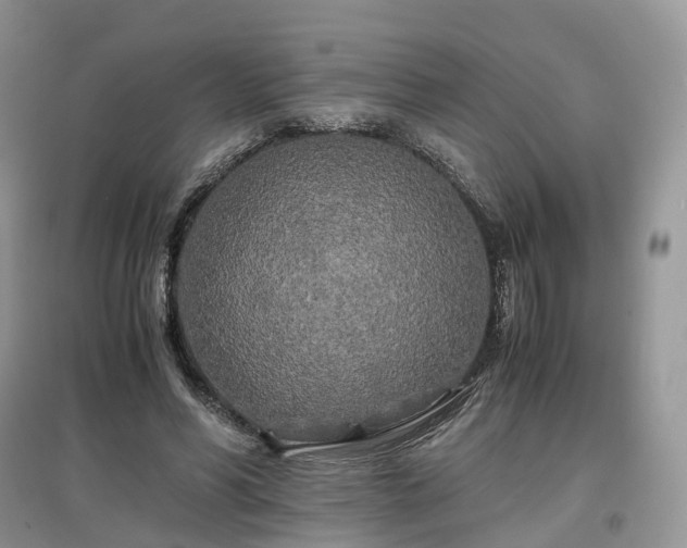 X0000097640590200803071555