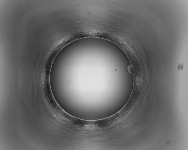 X0000097640591200803071555