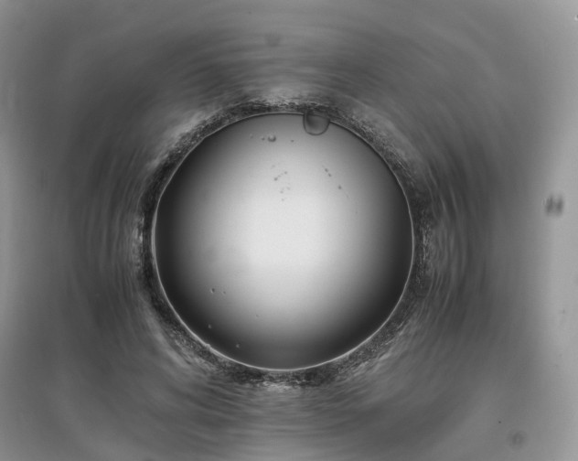 X0000097640592200803071555