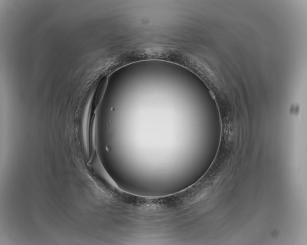 X0000097640593200803071555