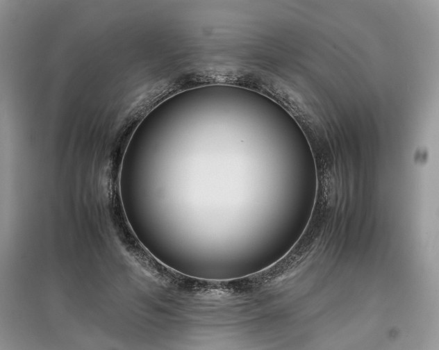 X0000097640594200803071555