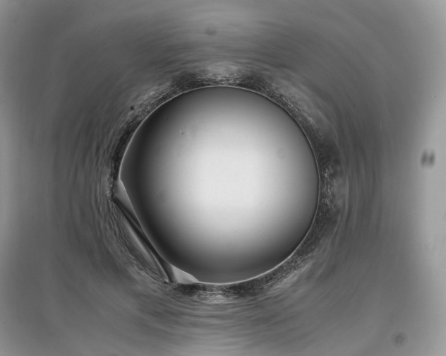 X0000097640597200803071555