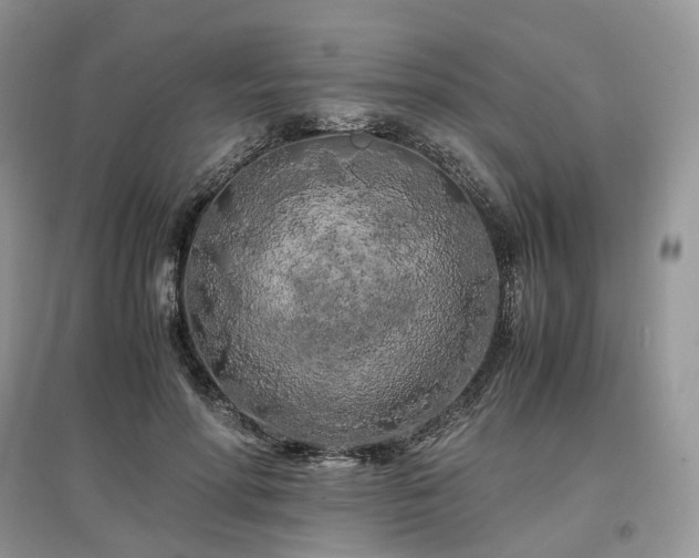 X0000097640598200803071555