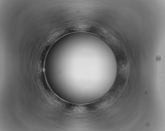 X0000097640599200803071555