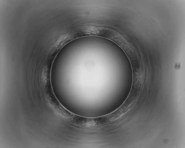 X0000097640600200803071555