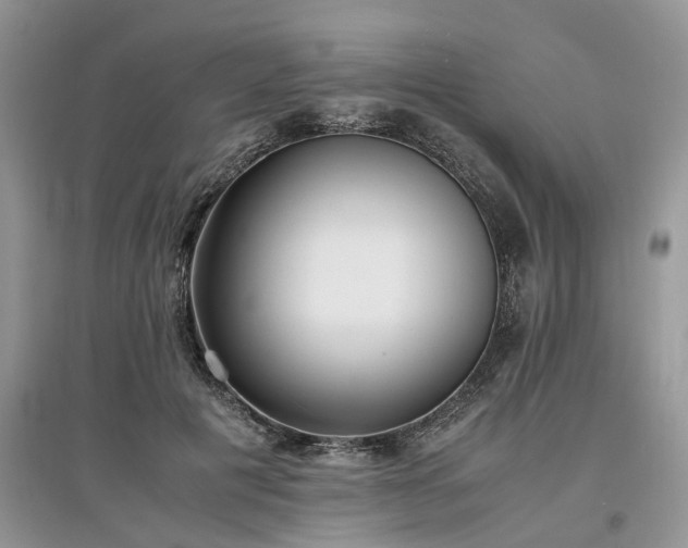 X0000097640601200803071554