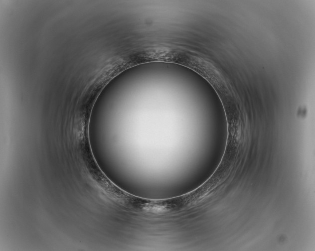 X0000097640602200803071554