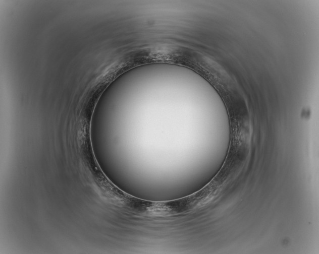 X0000097640603200803071554