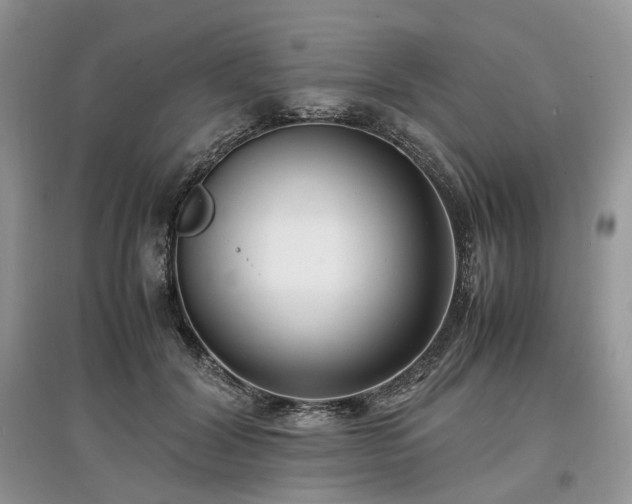 X0000097640604200803071554