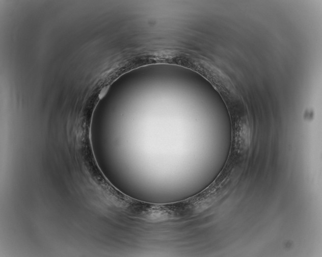 X0000097640608200803071554