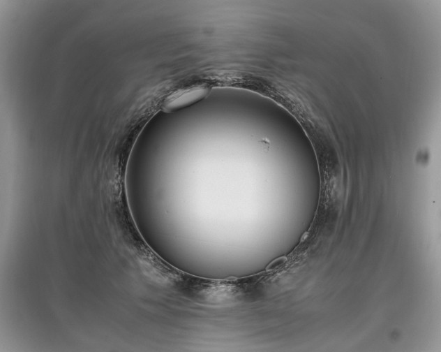 X0000097640609200803071554