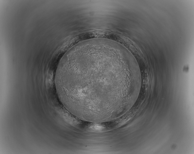 X0000097640610200803071554