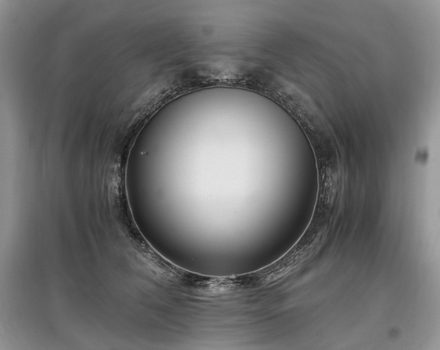 X0000097640612200803071554