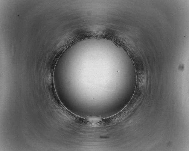 X0000097640613200803071554