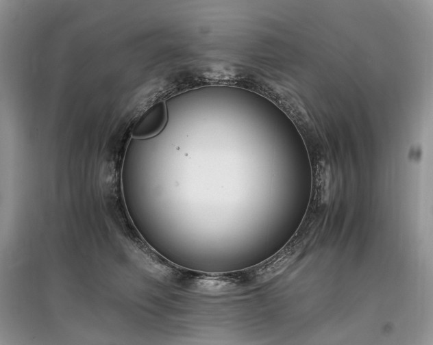 X0000097640614200803071554