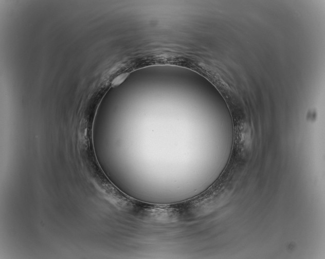 X0000097640615200803071554