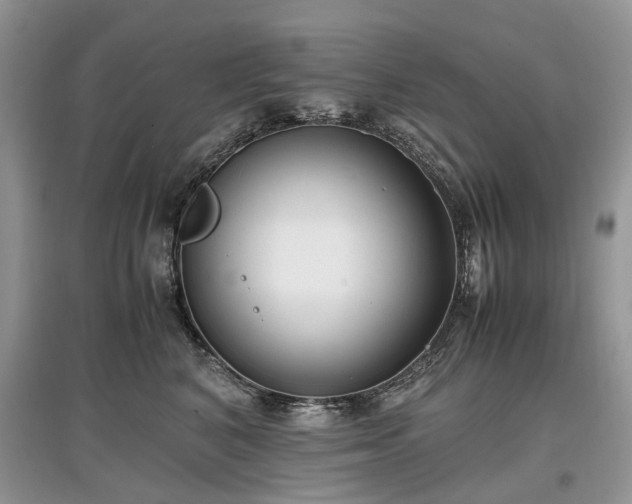 X0000097640616200803071554